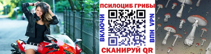 ОМГ ОМГ ТОР  купить закладку  Арск  Галлюциногенные грибы мицелий 